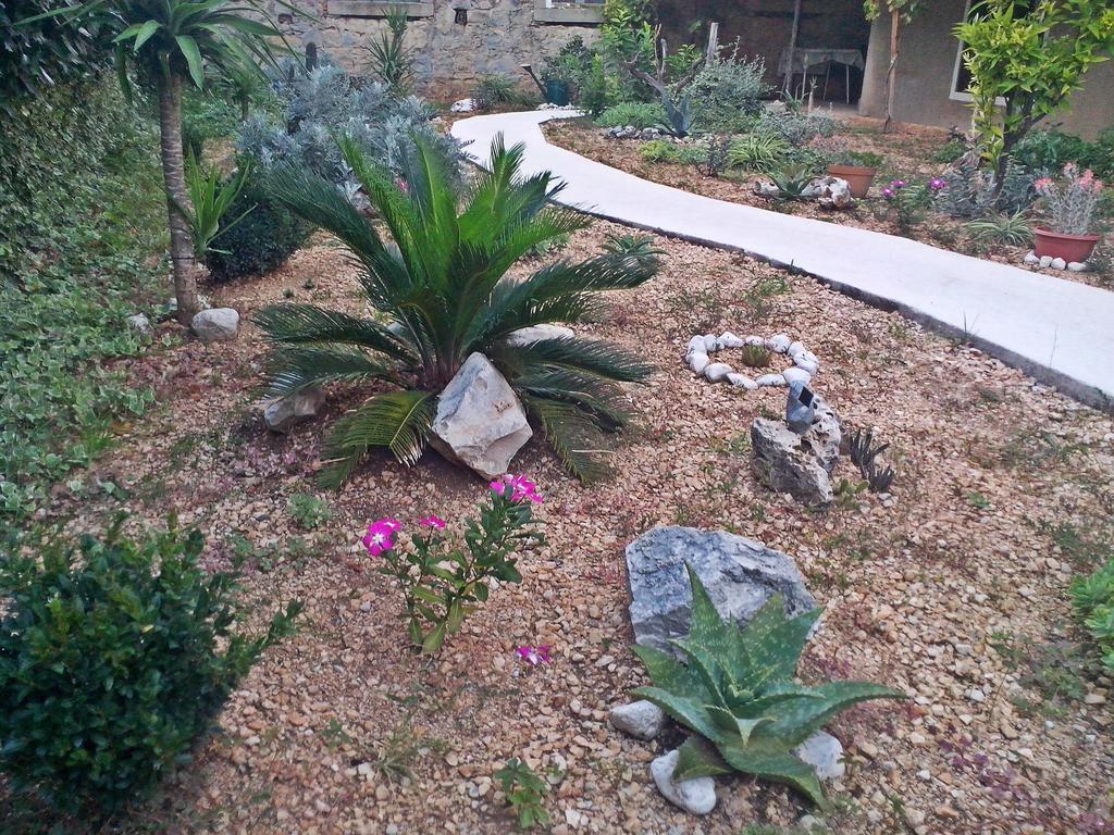 Apartments Fanito ماكارسكا المظهر الخارجي الصورة